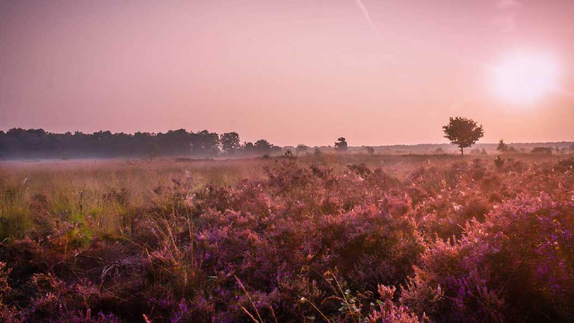 Waar vind ik vacatures in Drenthe?