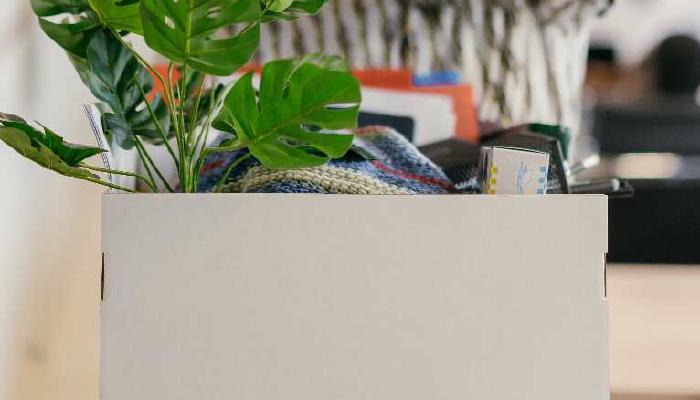 Opzegtermijn: wat moet je weten en wat zijn de regels?